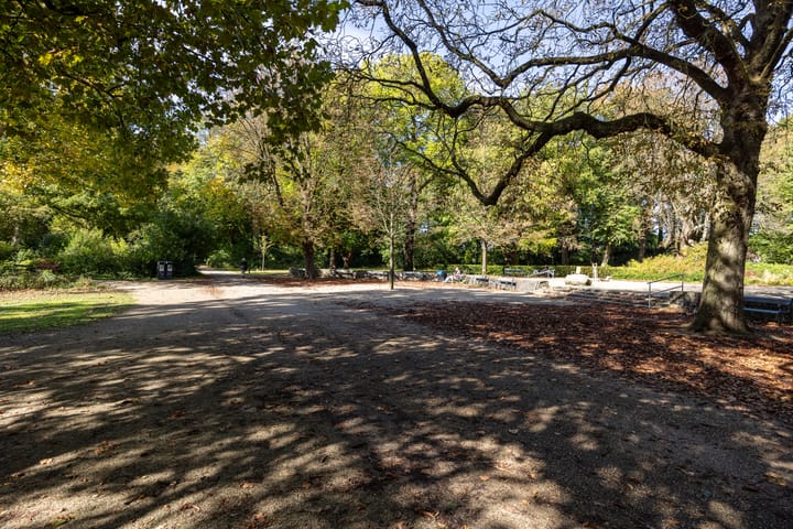 Foto 40 van Groen van Prinstererstraat 1-B