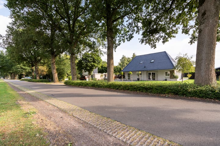 Foto 10 van Oranje 7