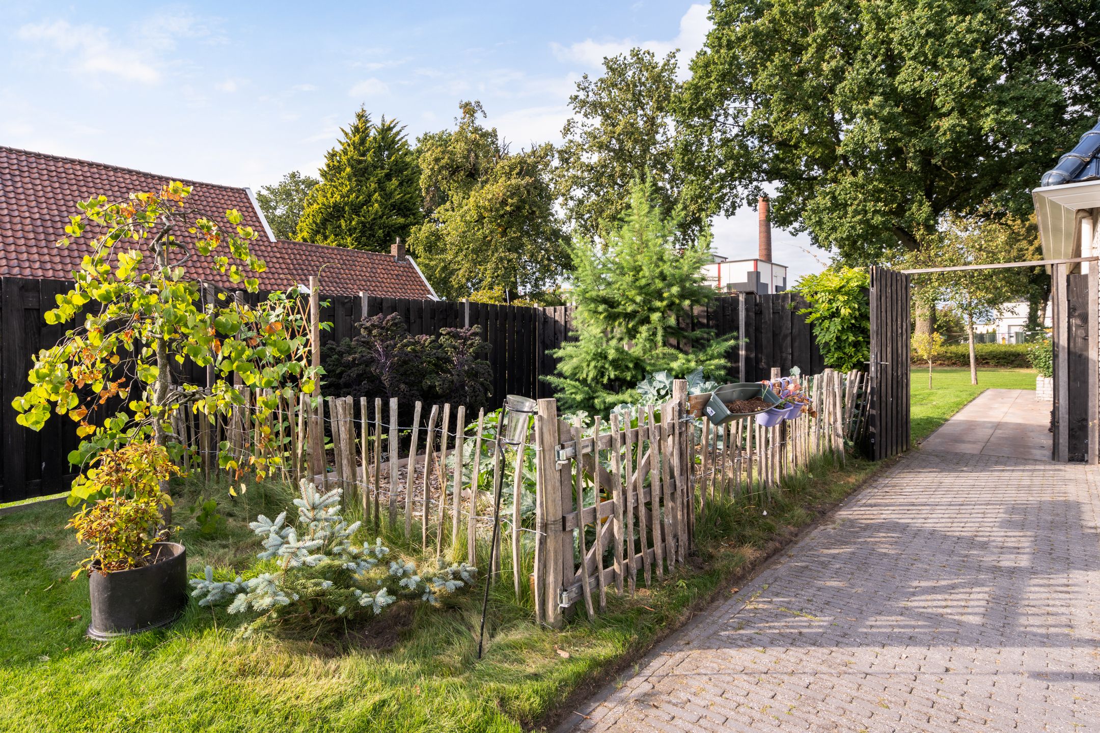 Foto 42 van Oranje 7