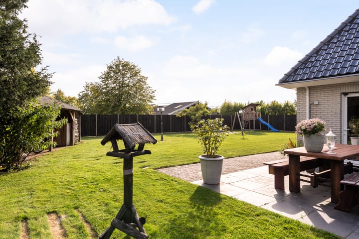 Foto 50 van Oranje 7