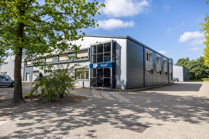 Feithspark 5, Tolbert