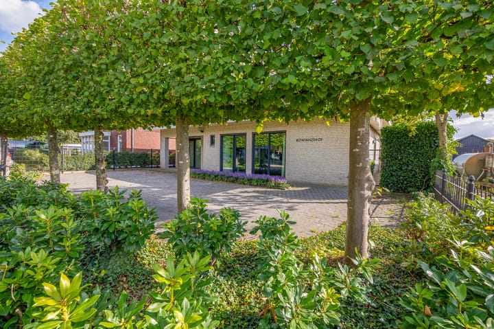 Photo 6 of Achter de Hoven 10