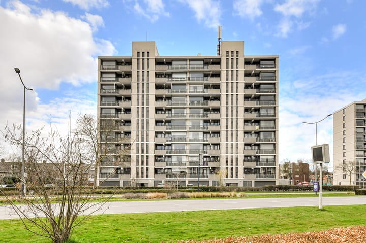 Photo 6 of Grote Spie 263