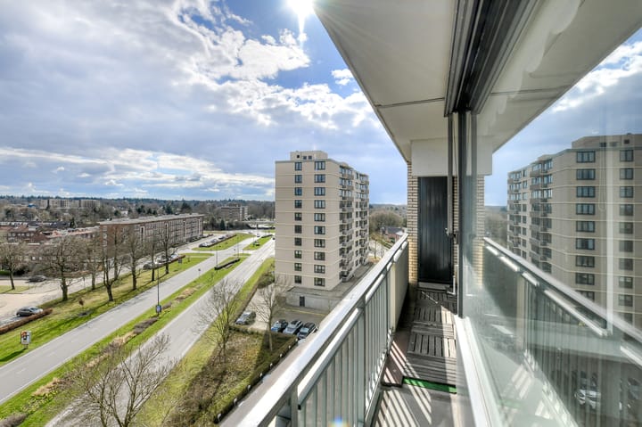 Photo 19 of Grote Spie 263