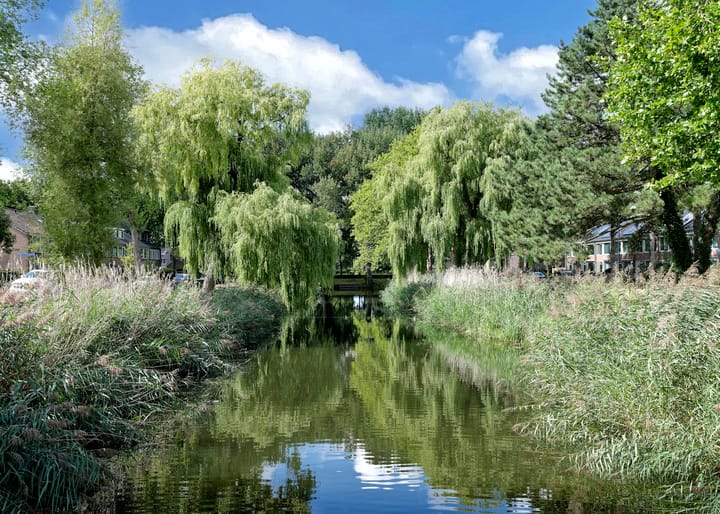 Photo 40 of Ruysdaelstraat 53-M