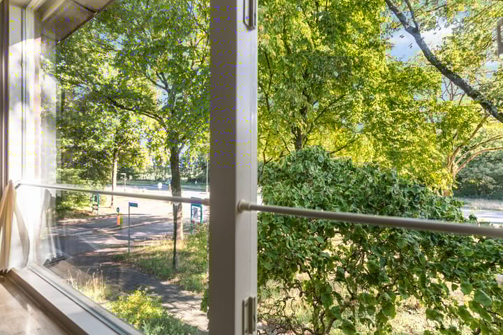 Photo 17 of De Wierse 19