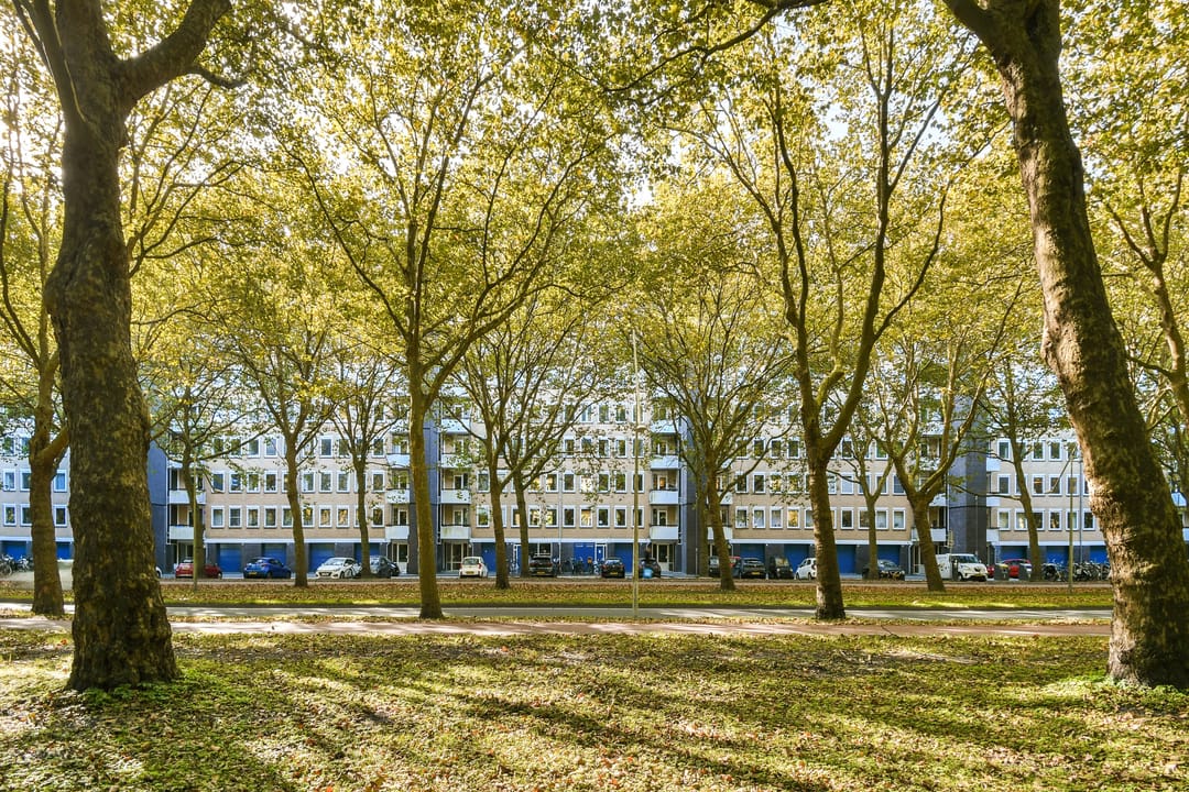 Foto 28 van Van Nijenrodeweg 512