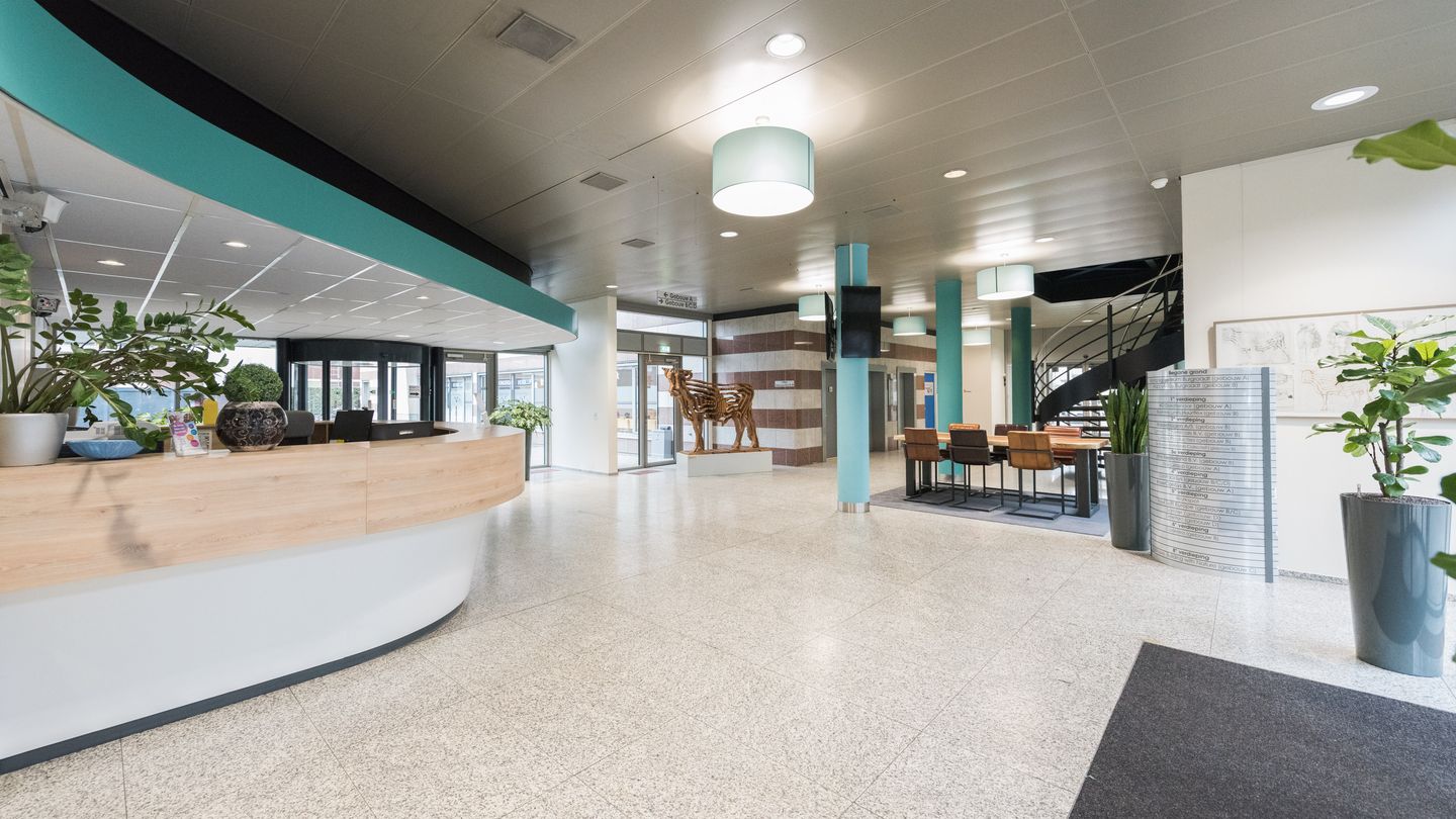 Bekijk foto 3 van Burgemeester de Raadtsingel 67