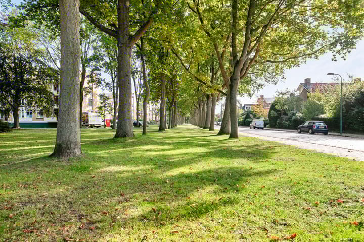 Foto 29 van M. Harpertszoon Tromplaan 114