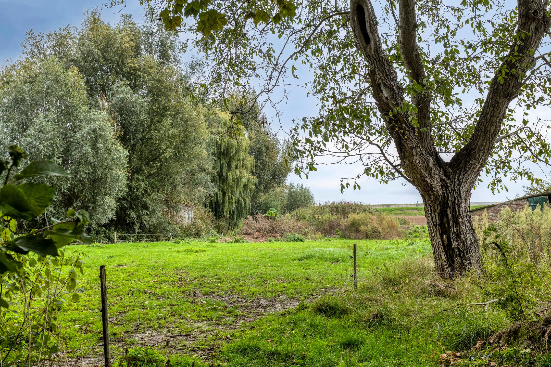 Foto 42 van Melssinghdreef 13