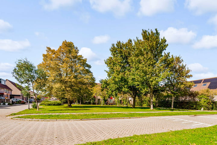 Foto 77 van Borstelgrasstraat 33