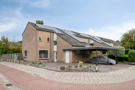 undefined main image