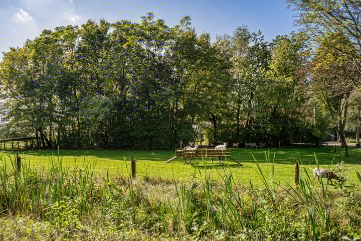 Foto 82 van Noord-Oosterweg 8