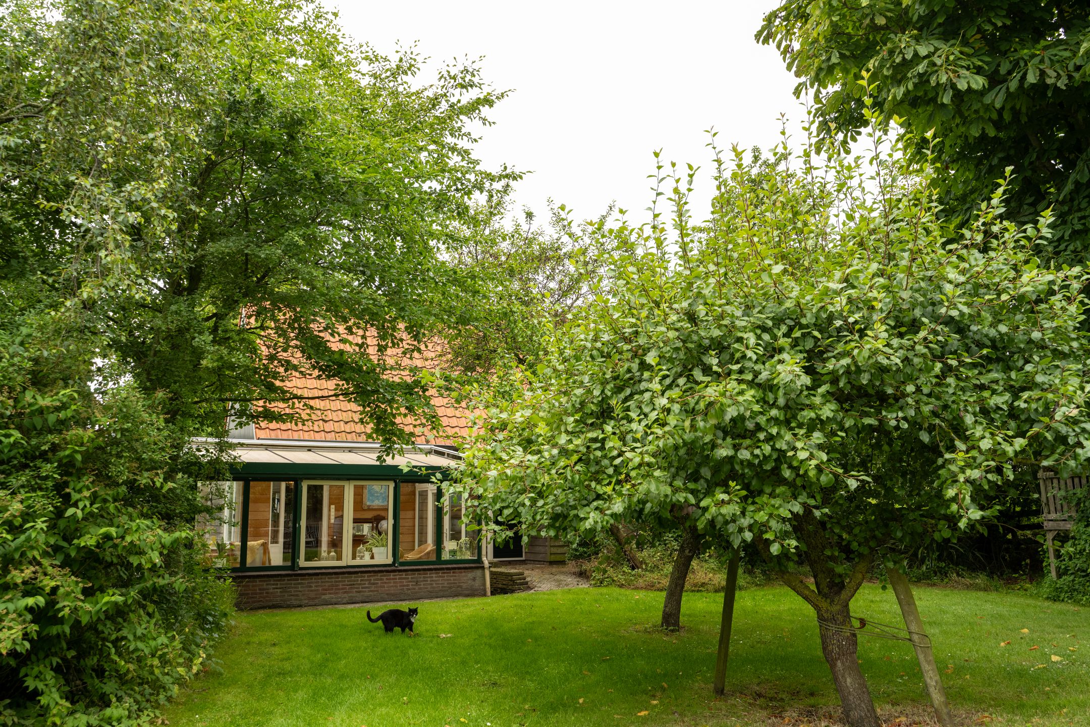 Photo 9 of Pontweg 66