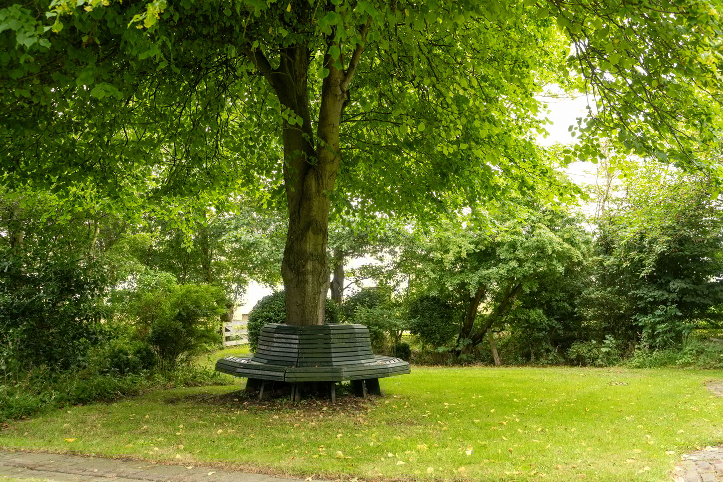 Photo 14 of Pontweg 66