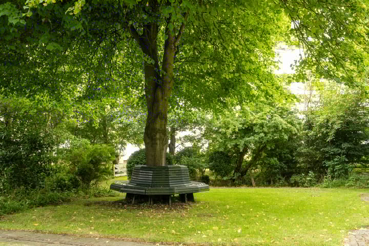 Foto 14 van Pontweg 66