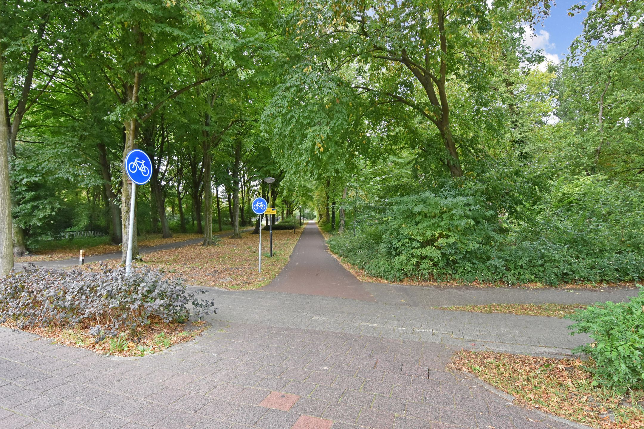 Foto 33 van Withuysstraat 147