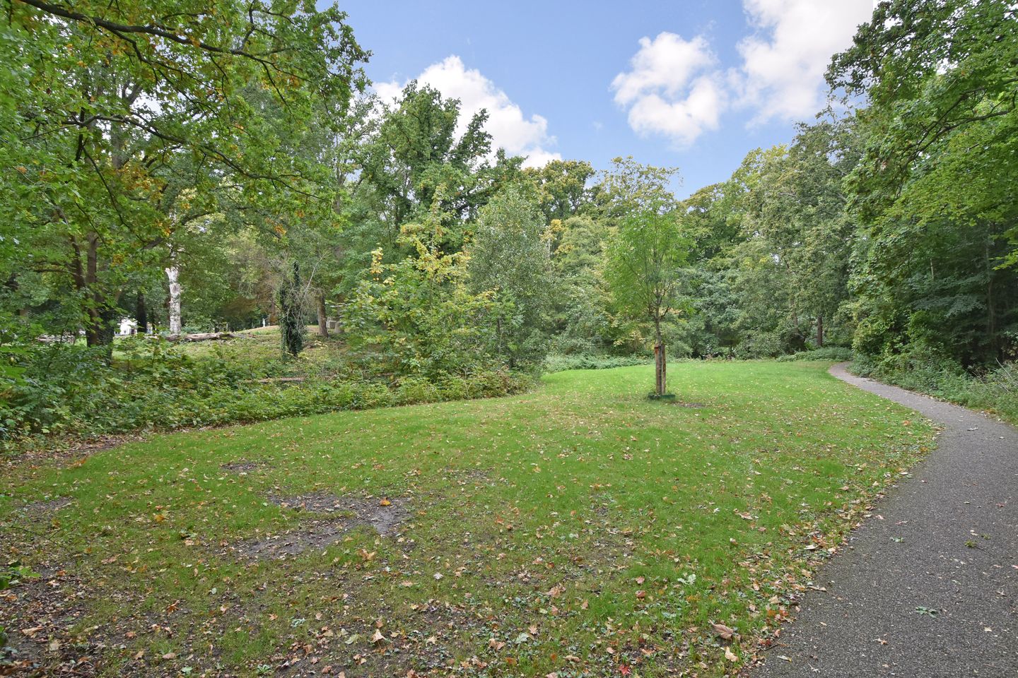 Foto 35 van Withuysstraat 147