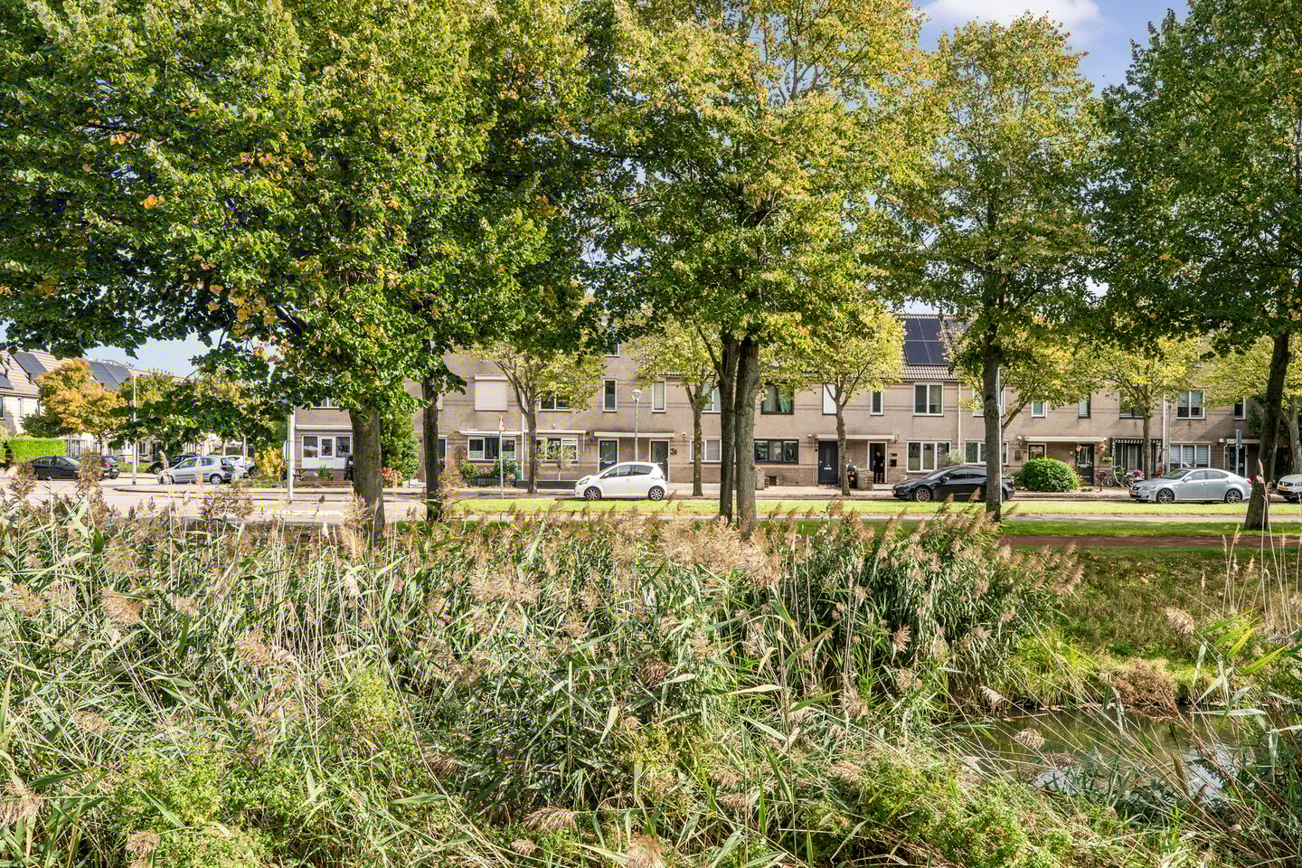 Foto 35 van Frankenburgsingel 24