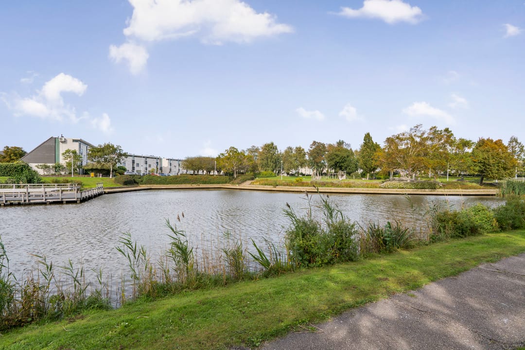 Foto 37 van Frankenburgsingel 24