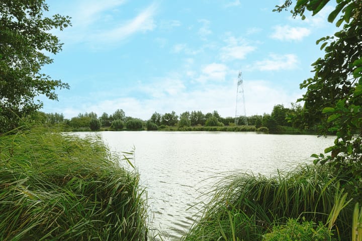 Photo 5 of Jacob Vrijstraat 22