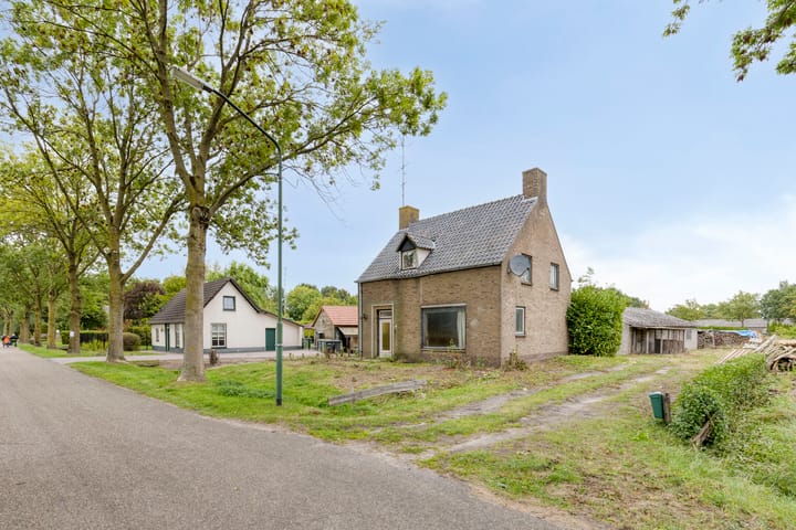 Foto 3 van De Haag 9