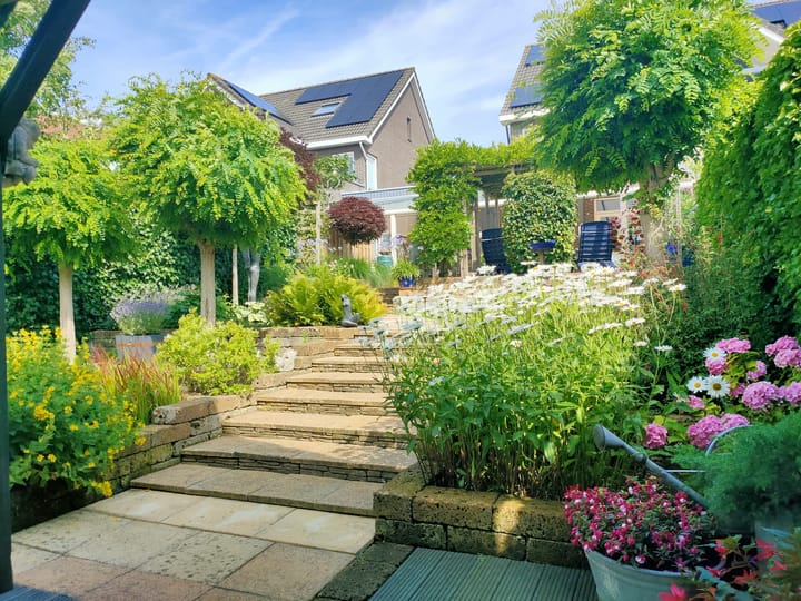 Foto 54 van Zuidersloot 52