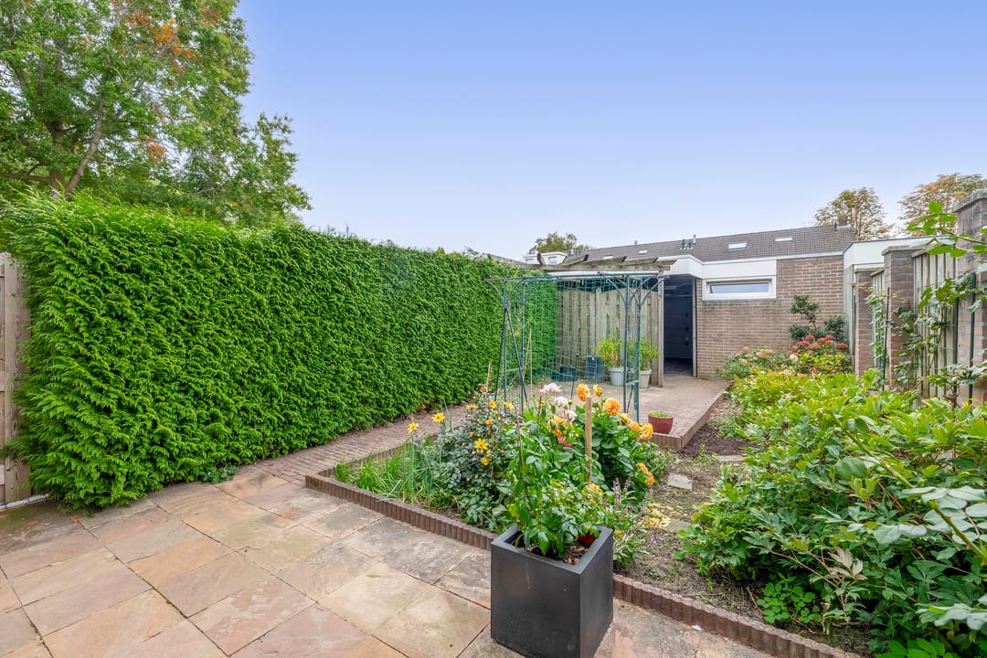 Foto 23 van De Volder 55