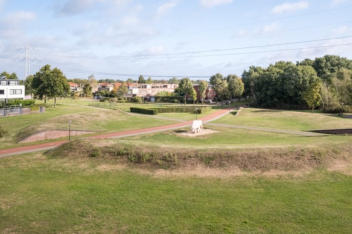 Foto 39 van Fangorn 14