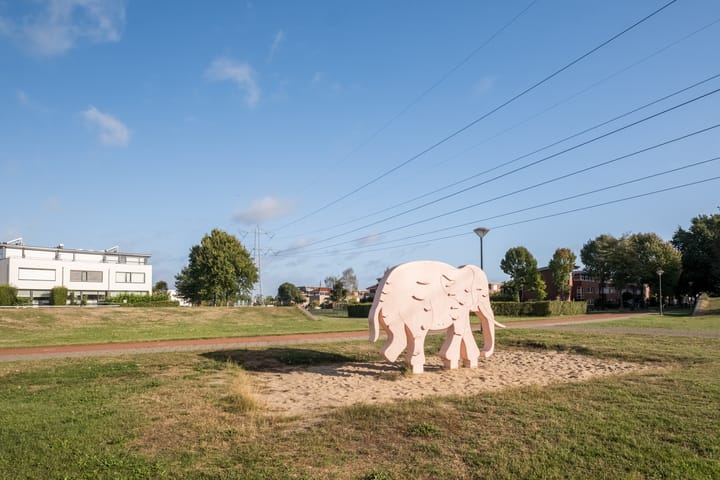 Foto 47 van Fangorn 14