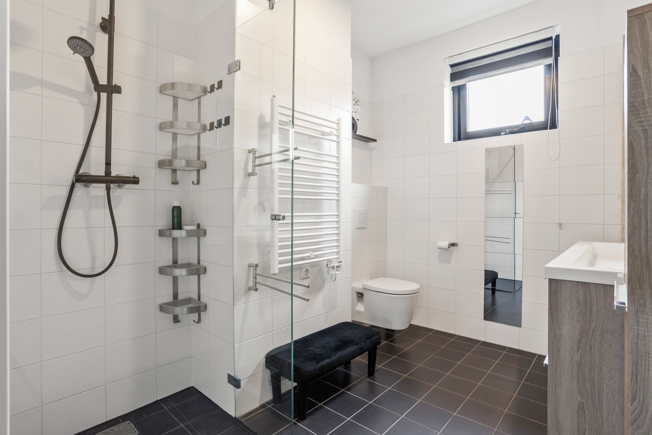 Foto 21 van Sneekermeer 58