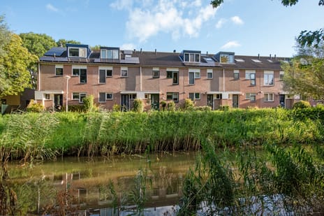 Bunzingweide thumbnail