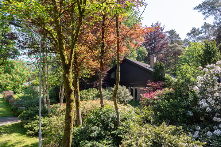 Foto 75 van Patrijzenlaan 5