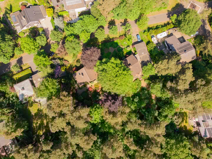 Foto 80 van Patrijzenlaan 5