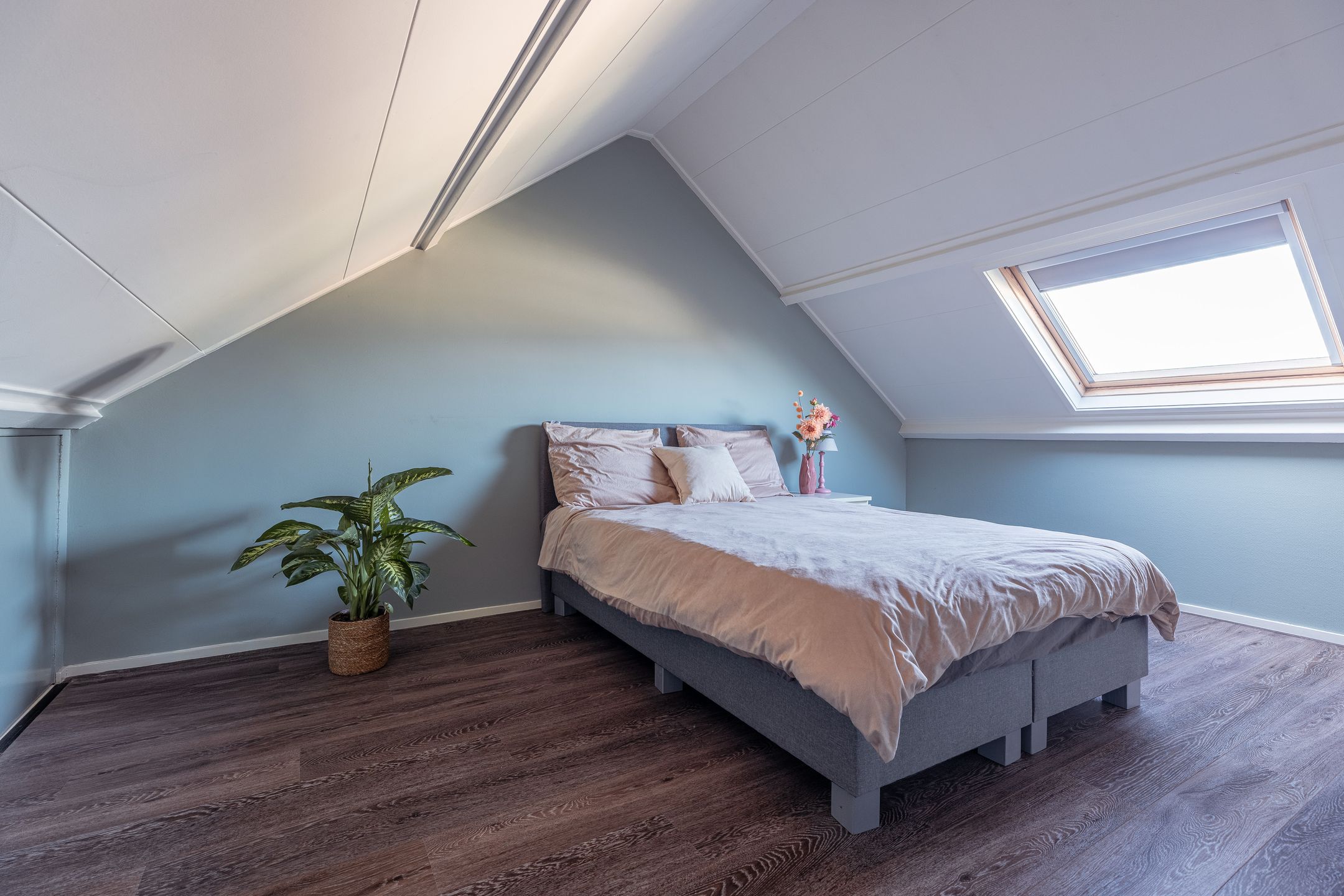 Photo 33 of Witte de Withstraat 17