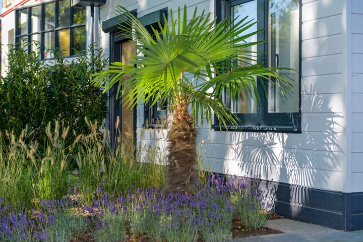 Photo 41 of Arnhemseweg 28-B