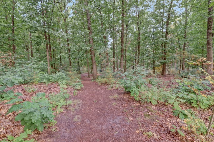 Foto 36 van Wijenburg 6