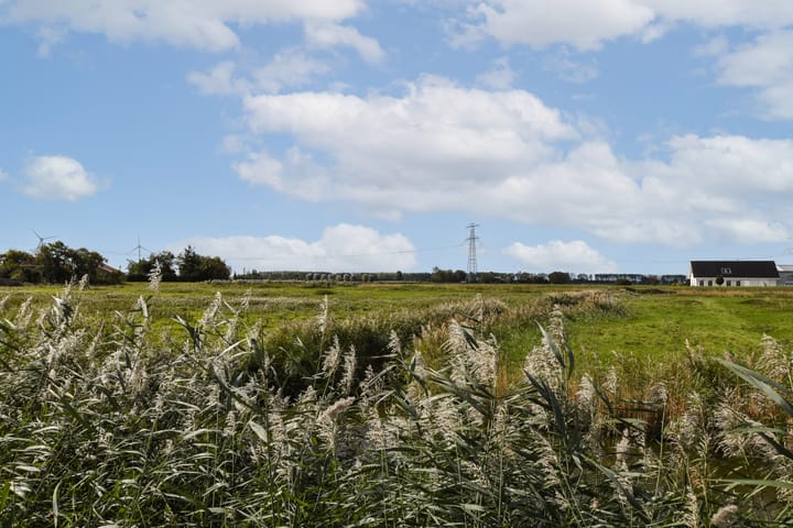 Foto 25 van Raaigras 10