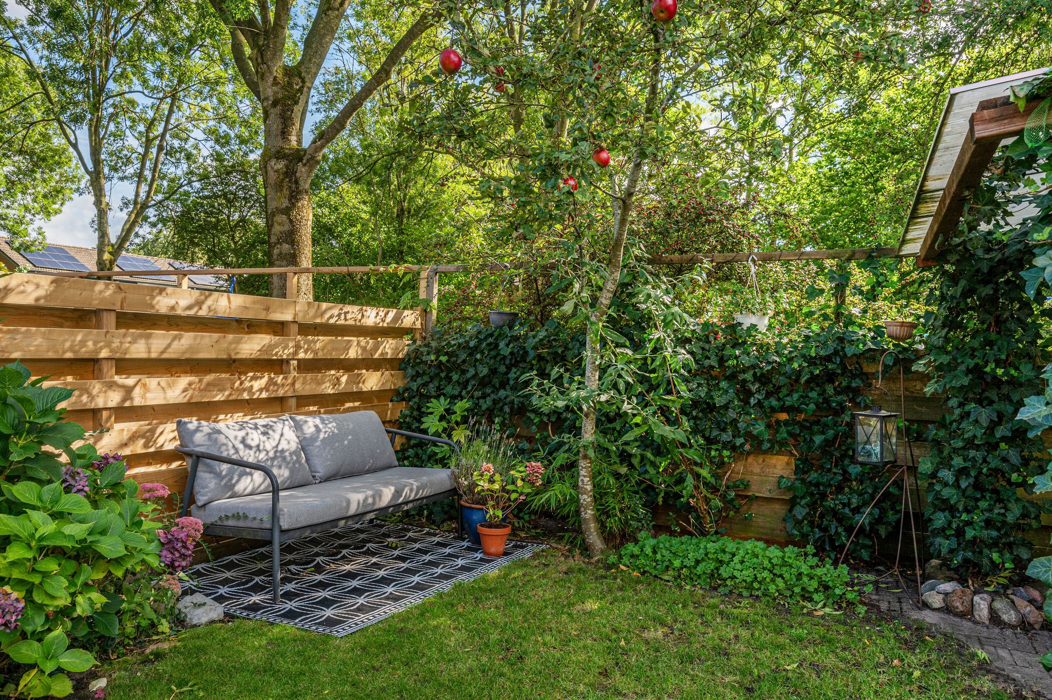 Foto 39 van Speenkruidstraat 1