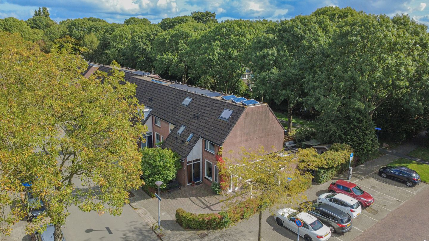 Foto 50 van Speenkruidstraat 1