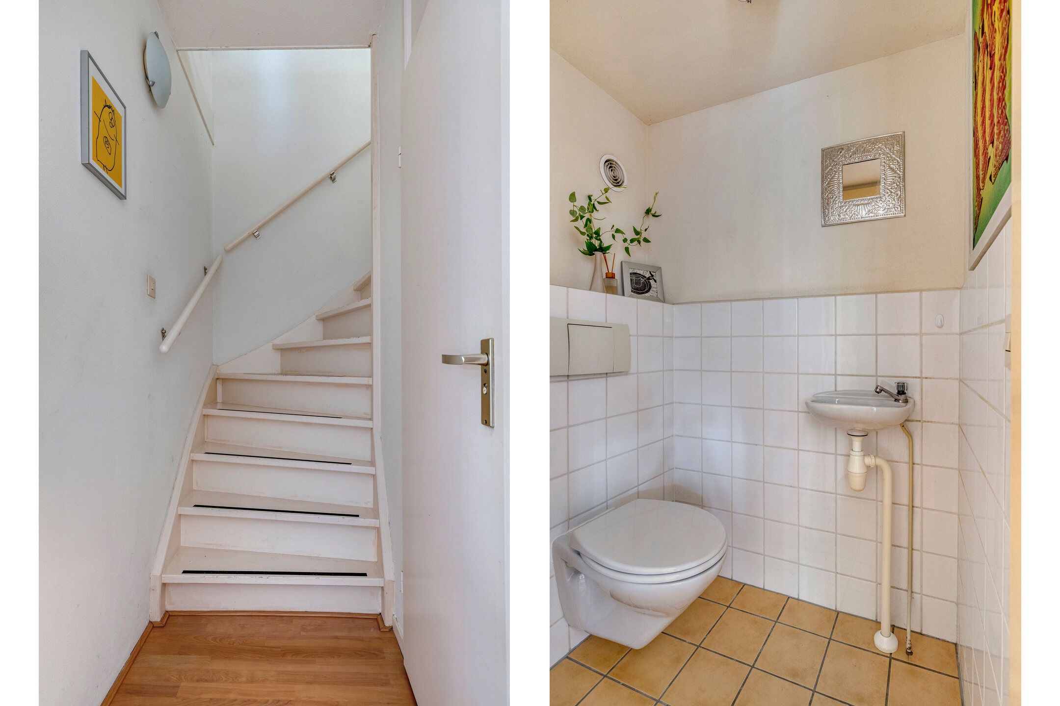 Foto 15 van Penningkruid 25