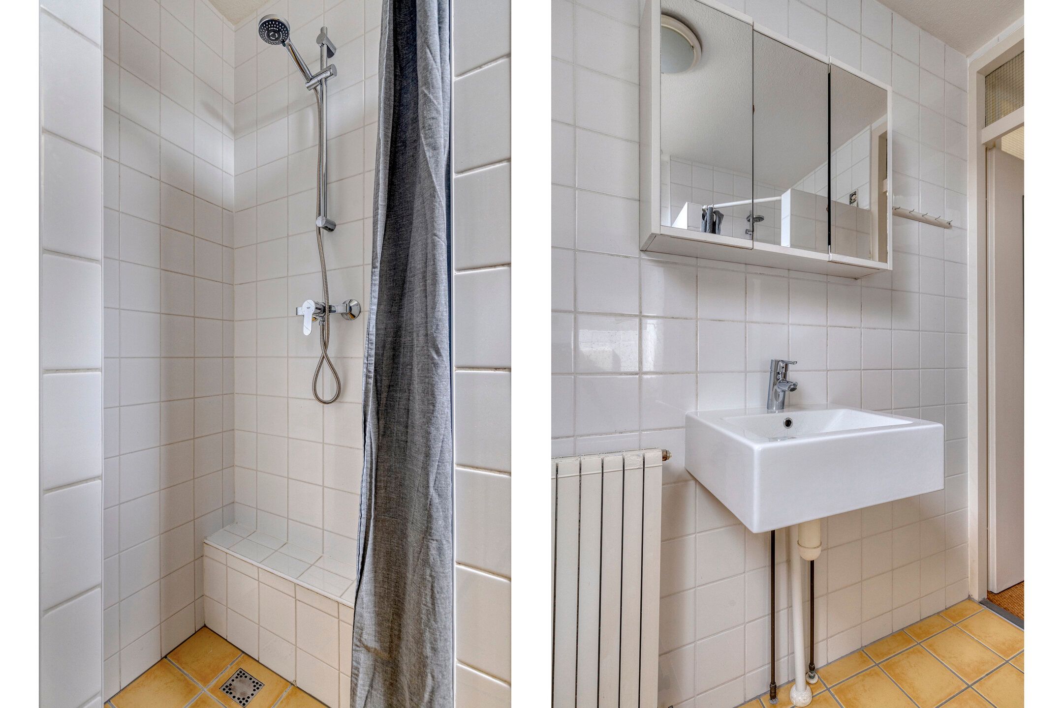 Foto 21 van Penningkruid 25