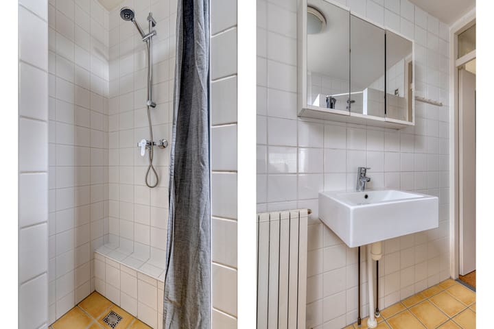 Foto 21 van Penningkruid 25