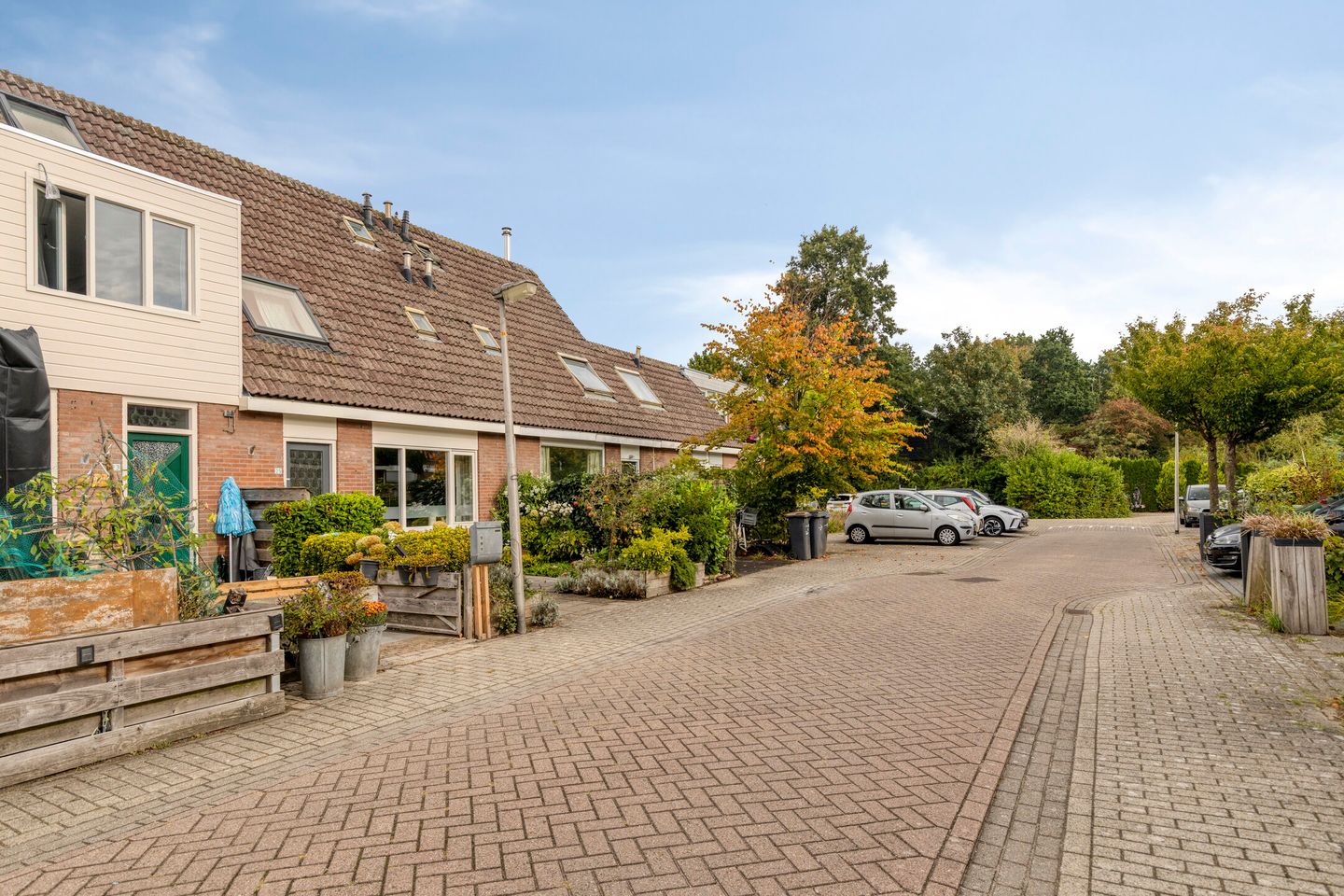 Foto 35 van Penningkruid 25