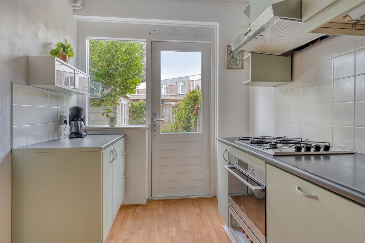 Foto 14 van Penningkruid 25