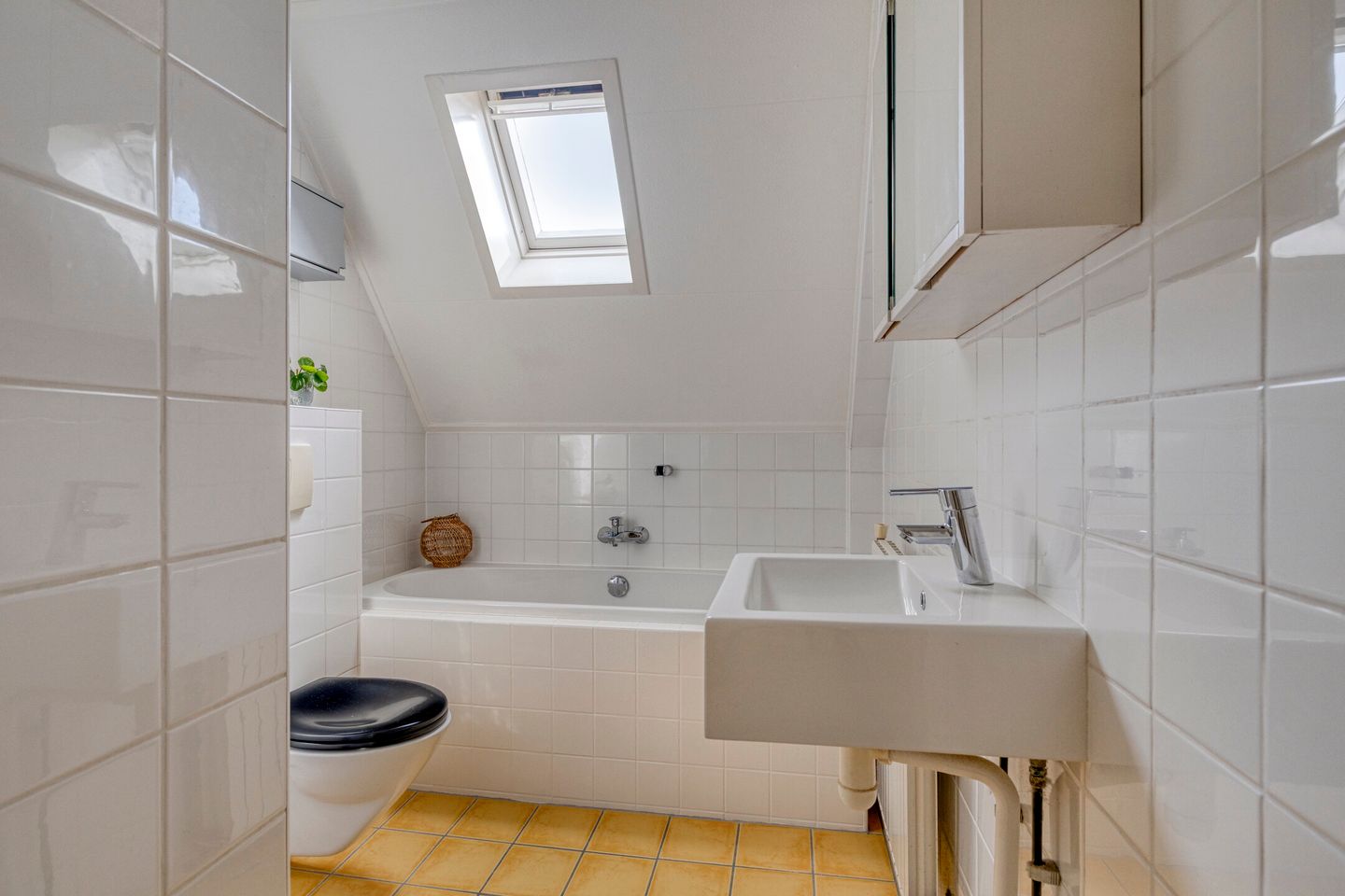 Foto 20 van Penningkruid 25