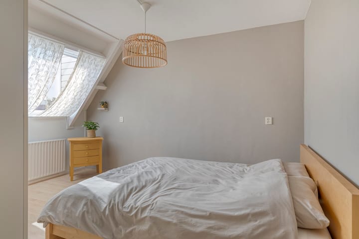 Foto 17 van Penningkruid 25