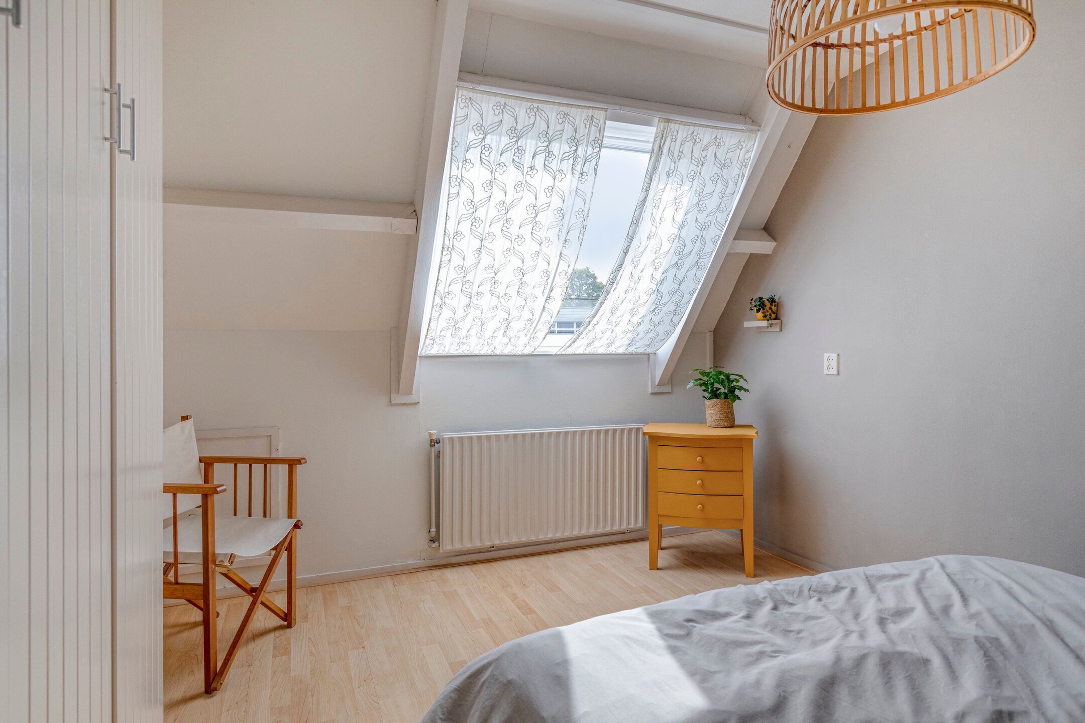 Foto 18 van Penningkruid 25