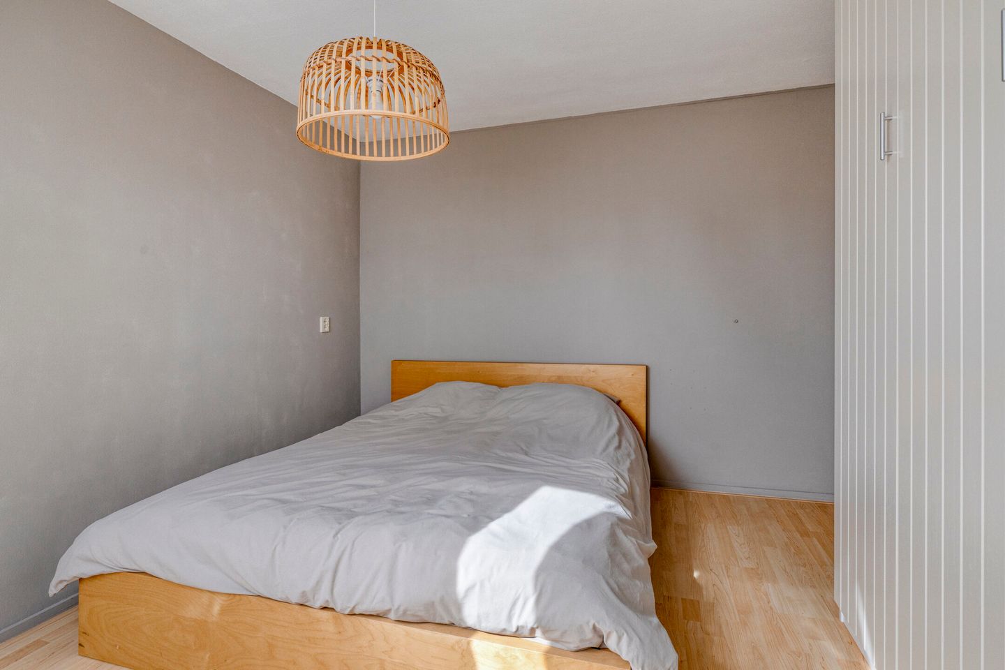 Foto 19 van Penningkruid 25