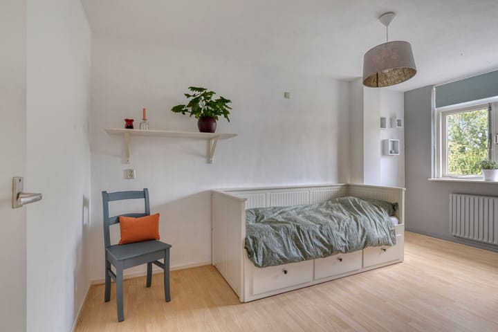 Foto 22 van Penningkruid 25